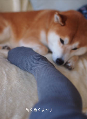 22日ブログ6.jpg