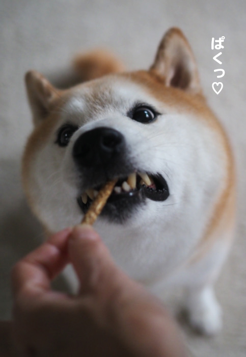 7日夕ブログ６
