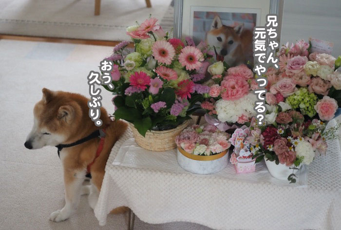 16日ブログ２