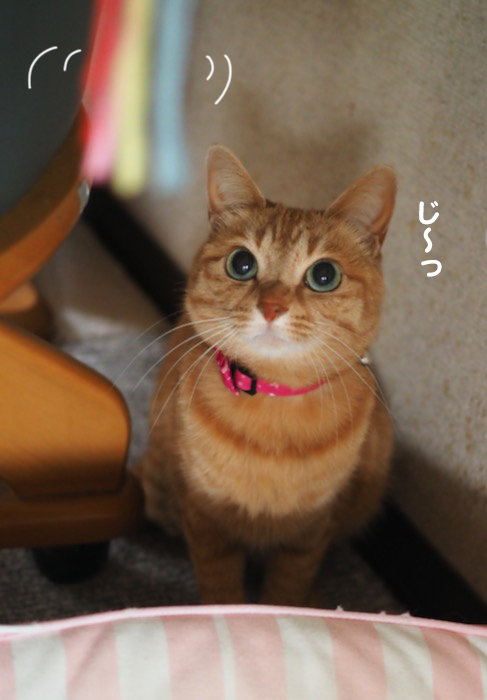 25日夕ブログ３