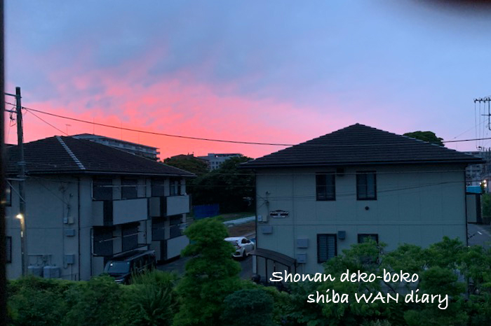 21日ブログ１
