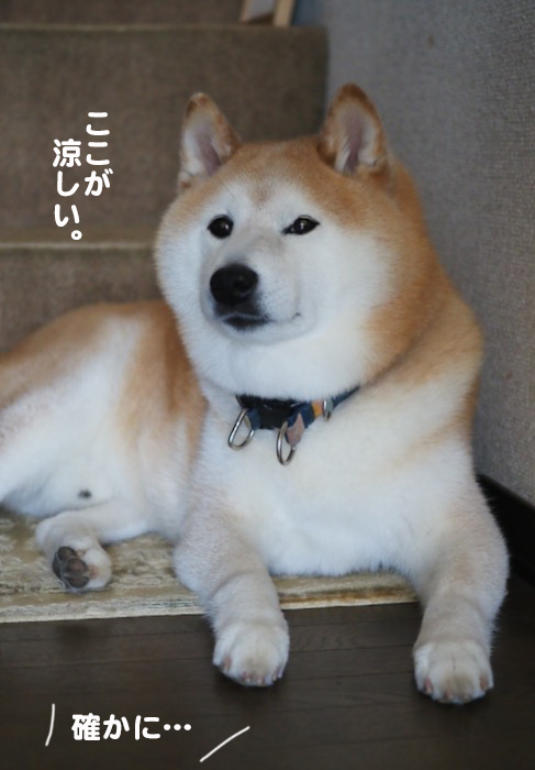 18日ブログ４