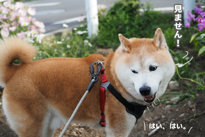 13日ブログ３
