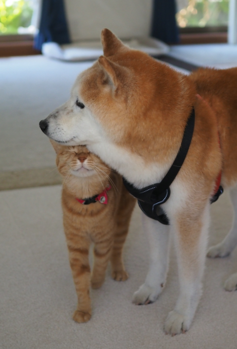 8日ブログ２