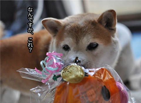 26日ブログ10.jpg