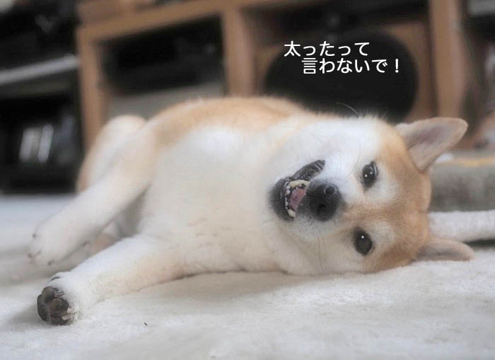 29日ブログ６
