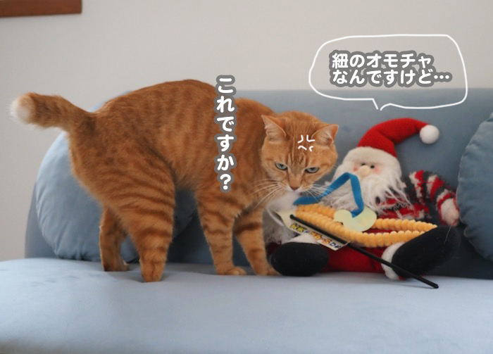 25日夕ブログ３