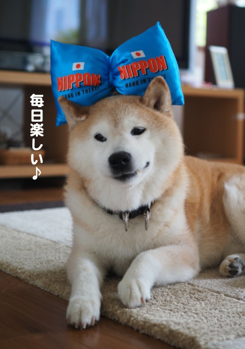 1日ブログ２