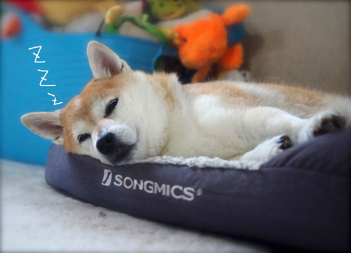 1日ブログ４