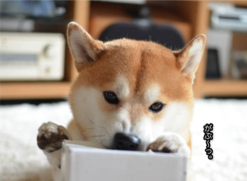 25日ブログ3.jpg
