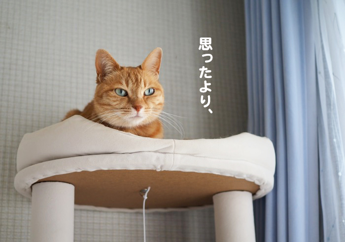 9日ブログ２