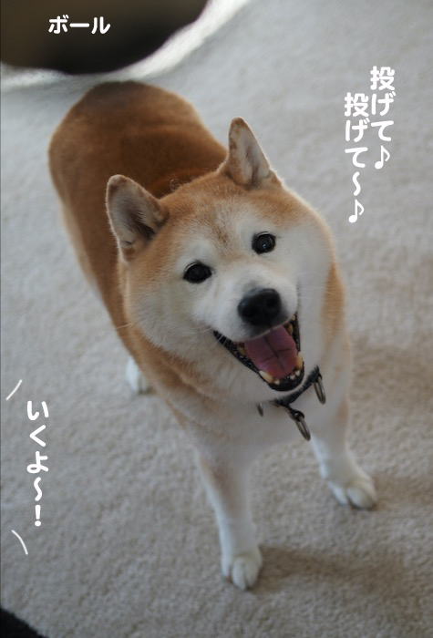 2日夕ブログ２