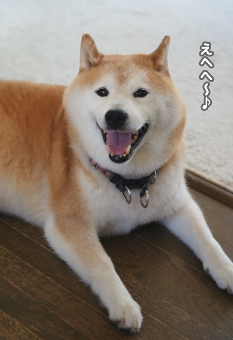 19日ブログ４
