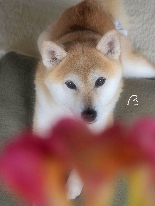 26日ブログ４