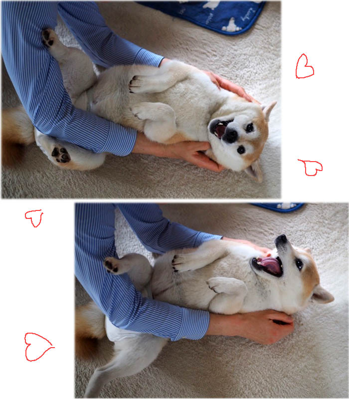 9日ブログ４