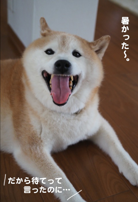 7日ブログ４