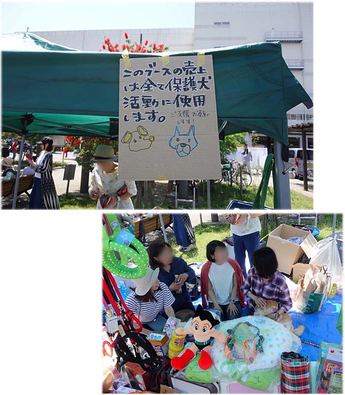20日ブログ３