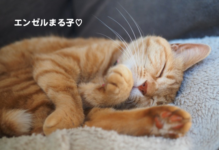 30日夕ブログ５