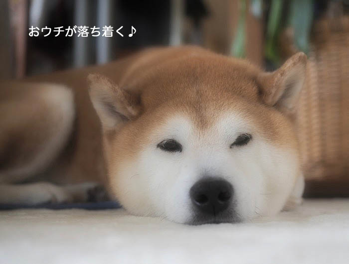 29日ブログ２