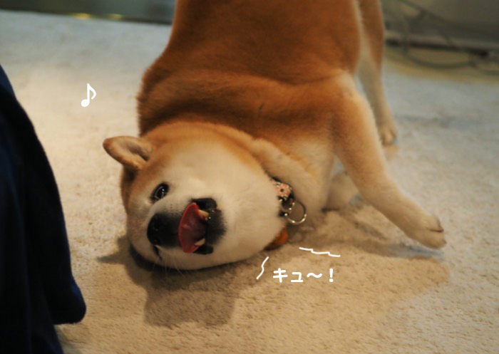 21日夕ブログ４