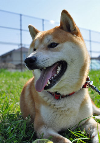 28日ブログ9.jpg
