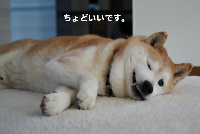 30日夕ブログ4