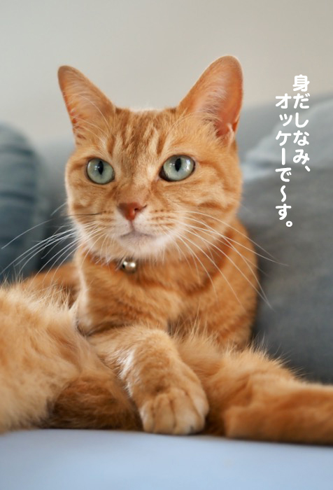 3日夕ブログ５