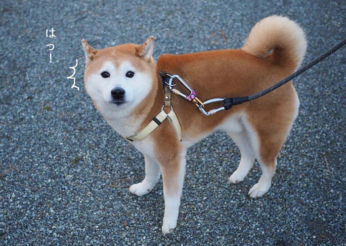 26日ブログ2