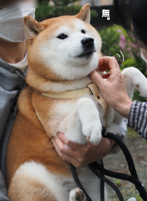 20日ブログ１２