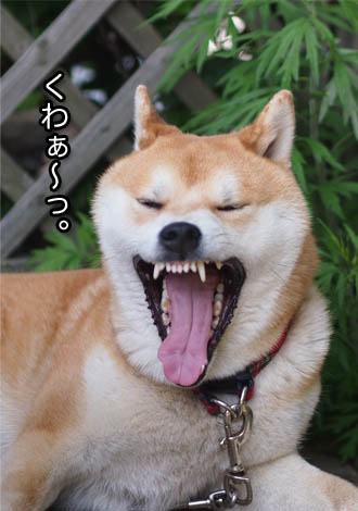 19日ブログ１０.jpg