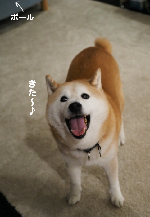 8日夕ブログ３