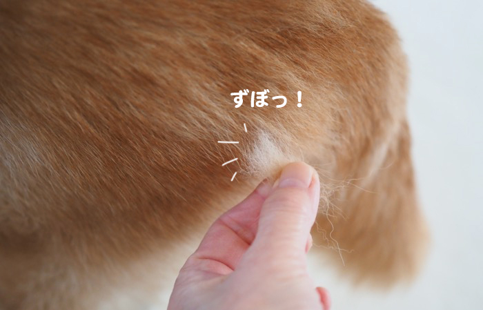 16日夕ブログ４