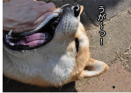 16日ブログ７.jpg