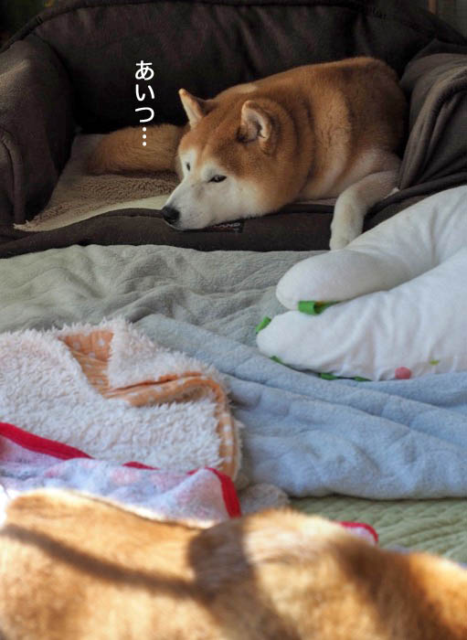 9日夜ブログ９