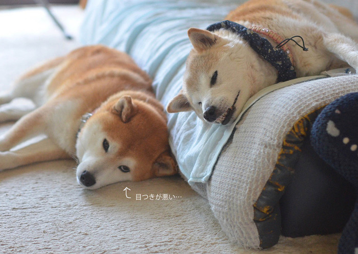 23日ブログ5