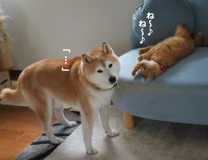 13日夕ブログ４