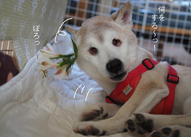 25日ブログ10