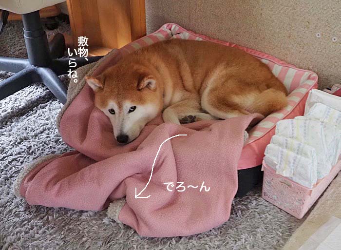 8日ブログ４