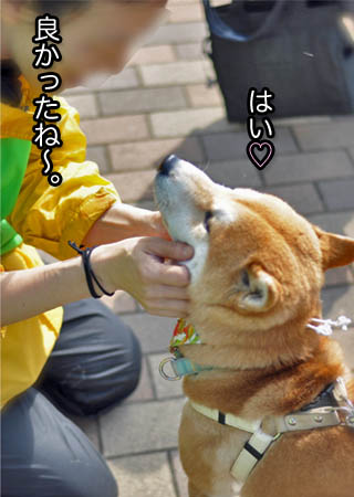 4日ブログ16.jpg