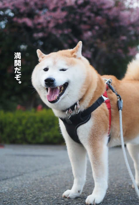５日夕ブログ４