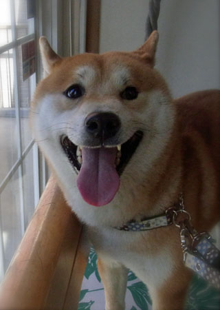 16日ブログ5.jpg