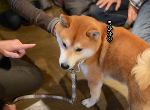 26日ブログ19.jpg