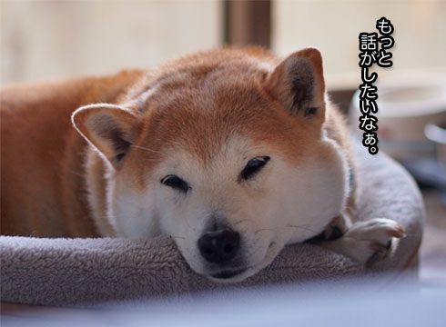 26日ブログ20.jpg