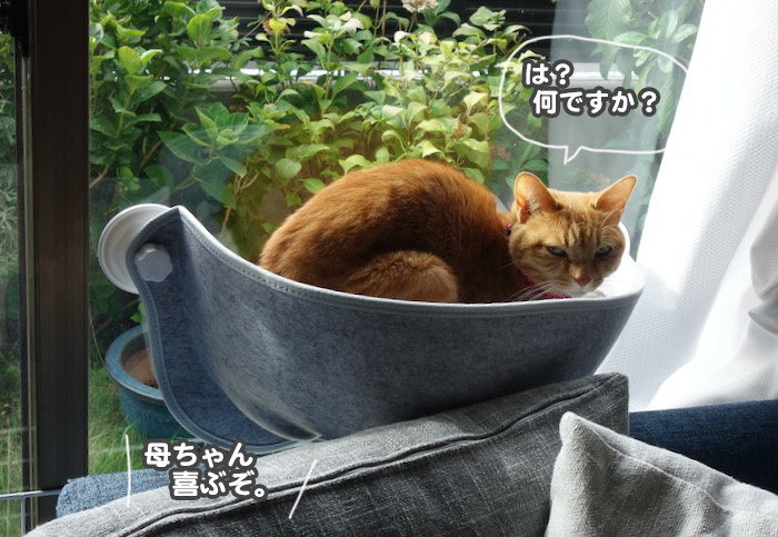 9日夕ブログ５