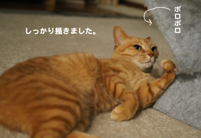 27日夕ブログ2