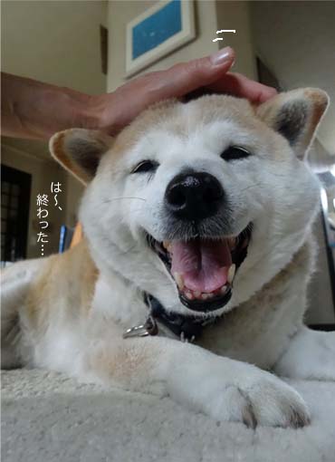 29日ブログ8.jpg