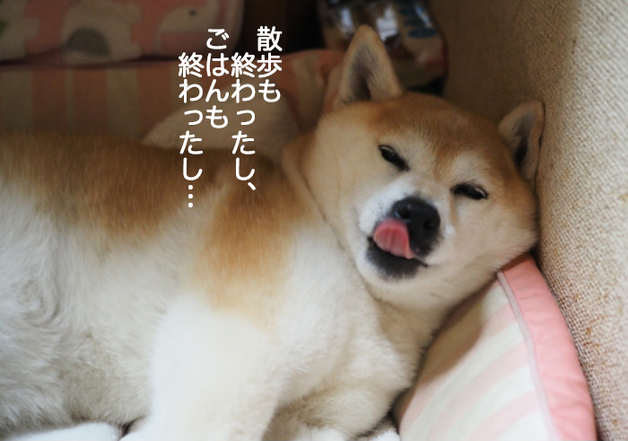 15日ブログ５