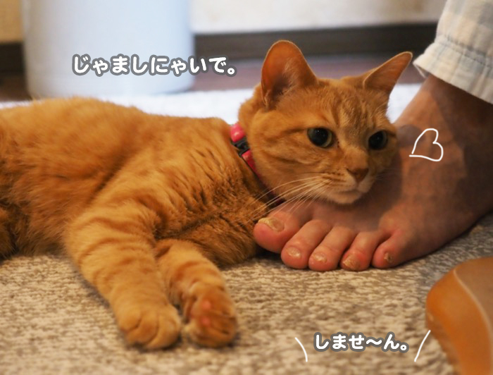 1日夕ブログ７