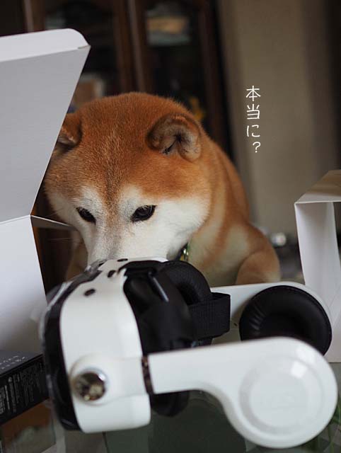 28日ブログ4
