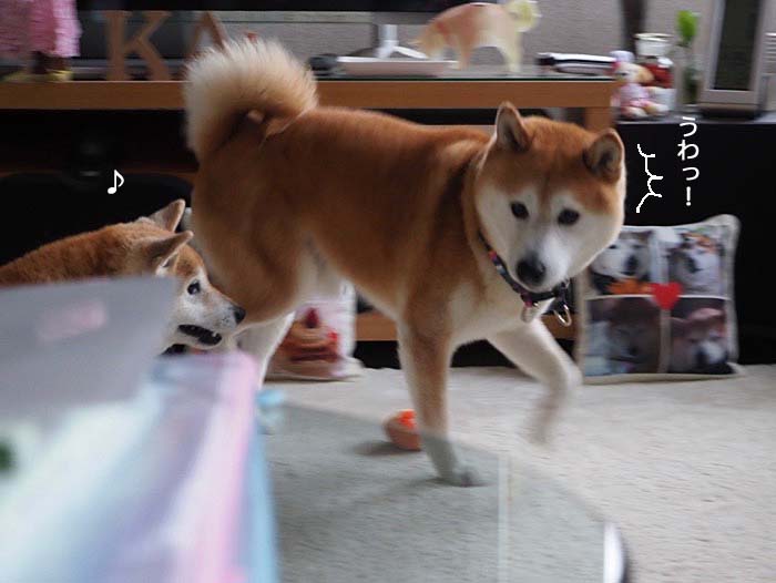 2日ブログ2